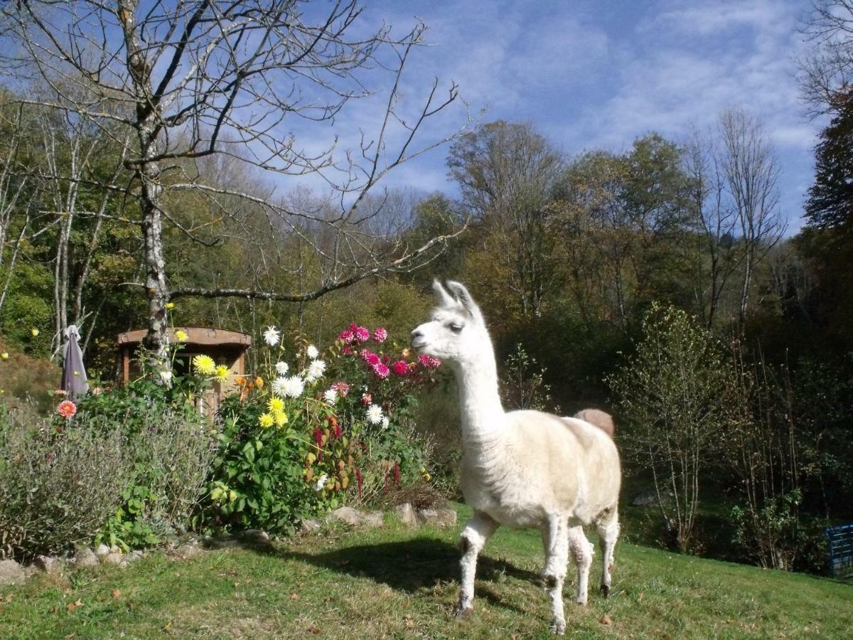 Le Domaine Du Chatelet Ferdrupt Exteriér fotografie